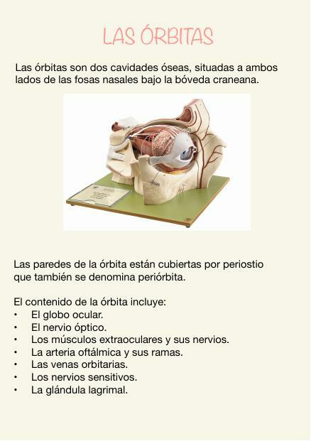 Tanatopraxia: Banco de Córneas y Enucleaciones