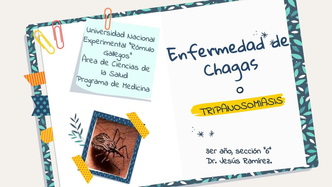 Enfermedad de Chagas - Parasitología 