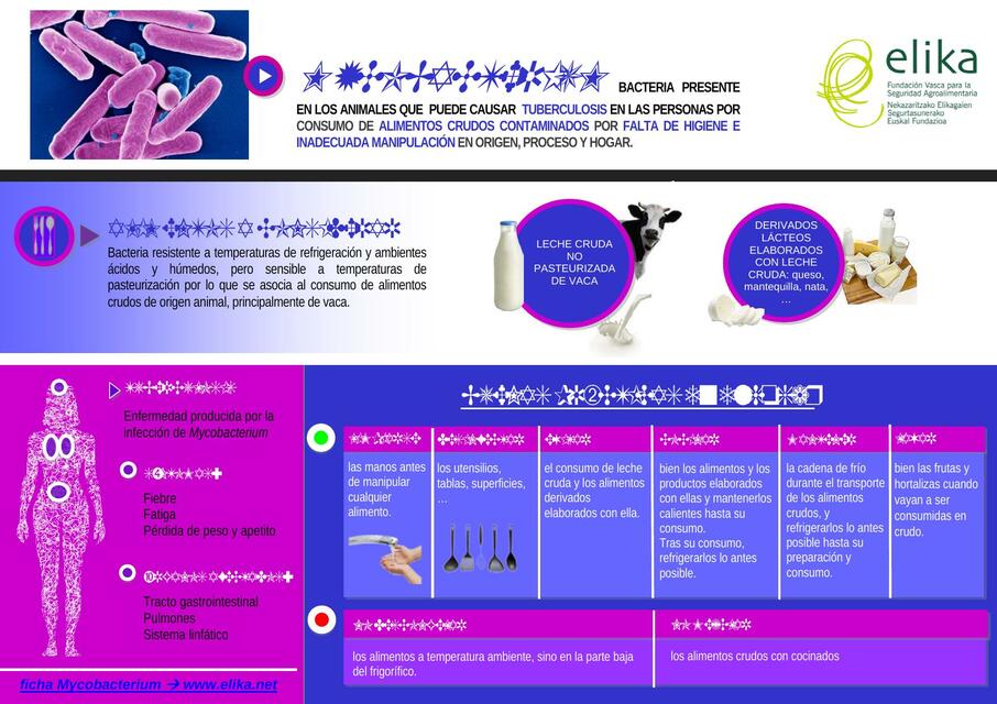 Mycobacterium