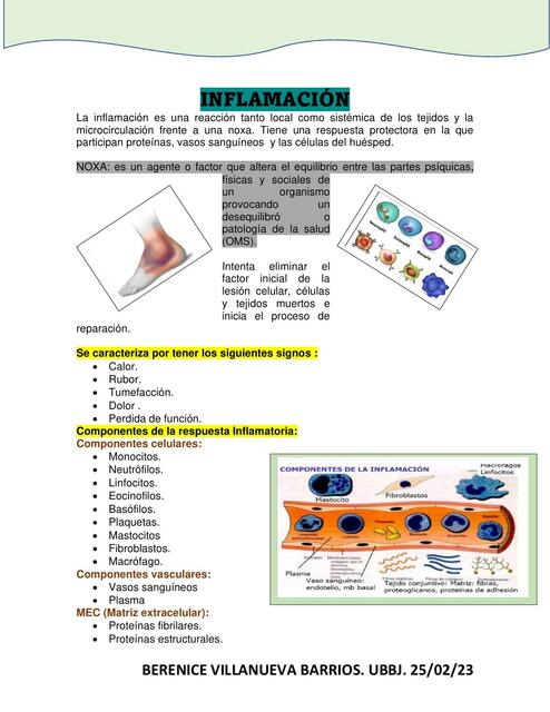 Resumen. Respuesta Inflamatoria