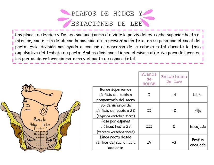 Planos deHodge y estaciones de Lee