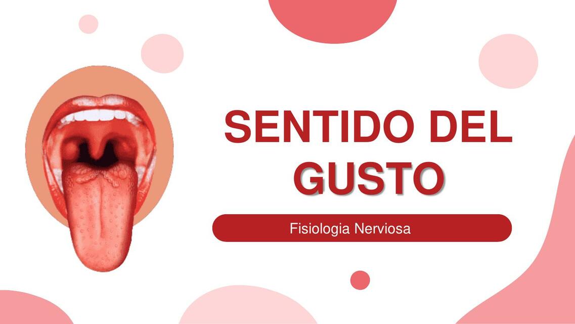 Sentido del Gusto 