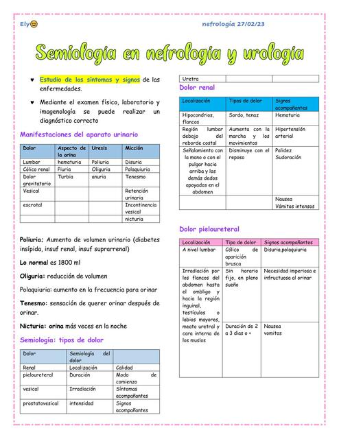 Semiología en Nefrología y Urología 