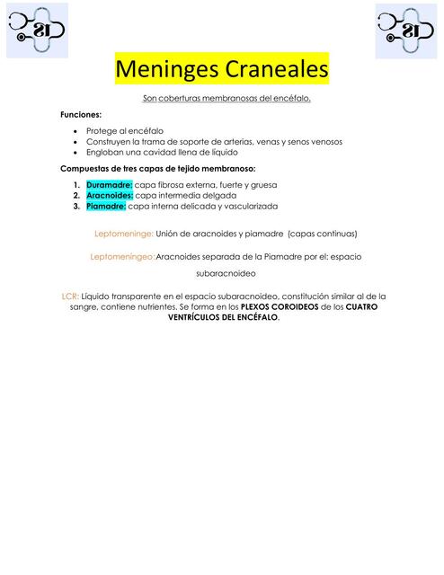 Meninges Craneales y Encéfalo