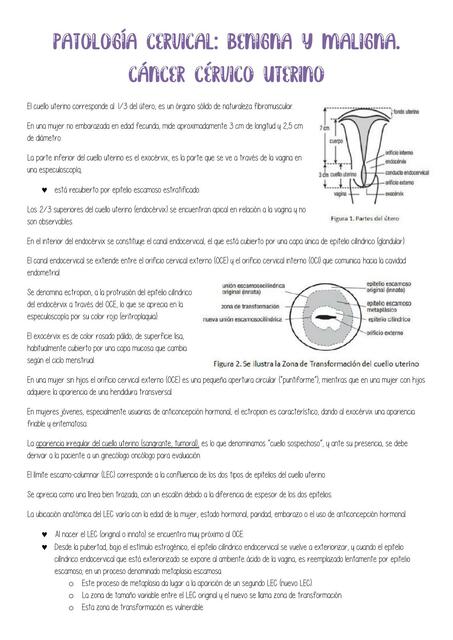 Patología Cervical 