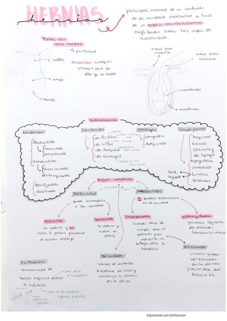 Hernias