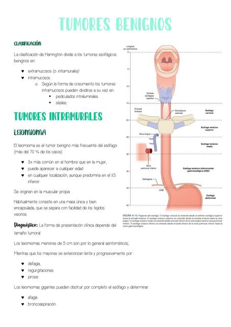 Cáncer de Esófago 