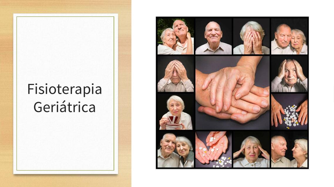 Fisioterapia Geriátrica