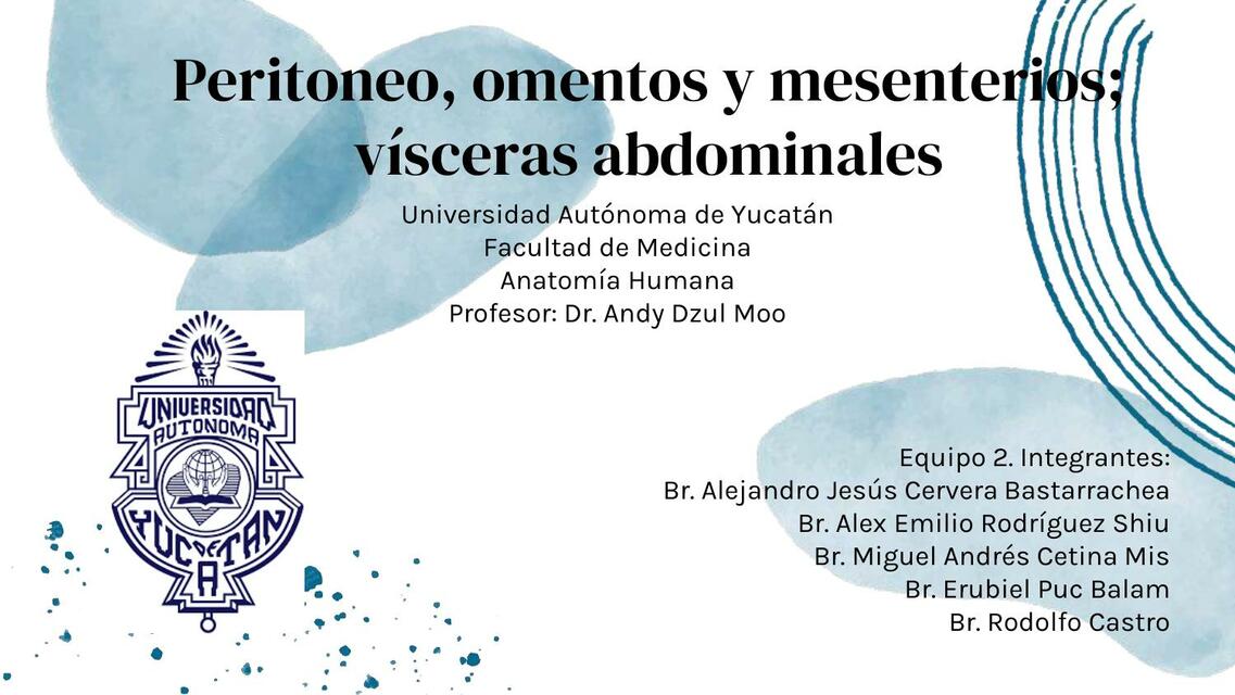 Peritoneo, Omentos y Mesenterios; Vísceras Abdominales