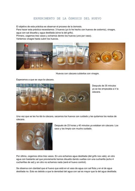 Experimento de la Ósmosis del Huevo