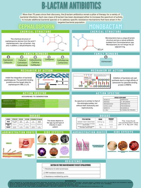 B-Lactam Antibiotics 