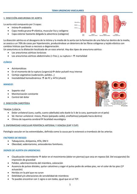 Urgencias Vasculares 