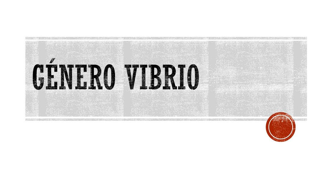 Género Vibrio 