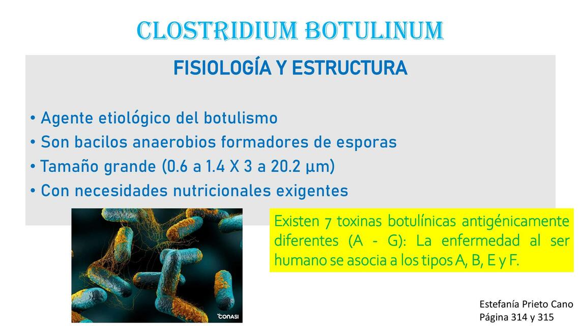 Clostridium Botulinum | MAXY AGUILAR | uDocz