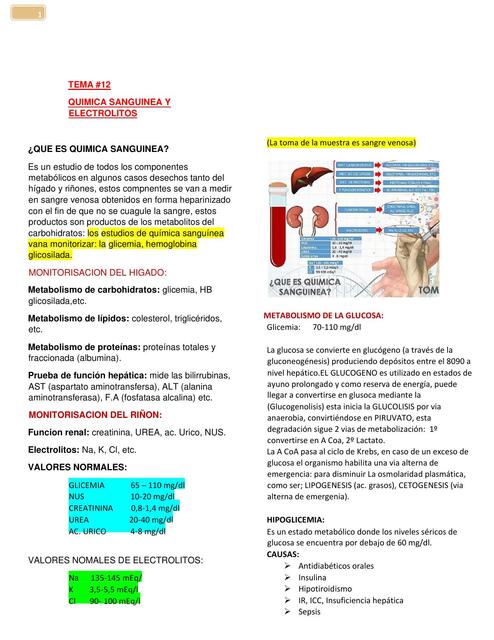 Química Sanguínea y Electrolitos 