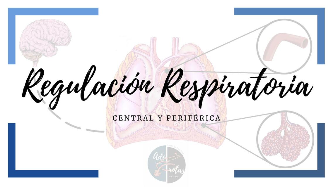 Fisiología de la Regulación de la Respiración