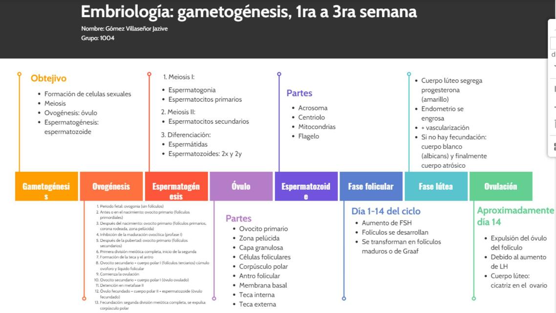 Embriología 1ra a 3ra Semana