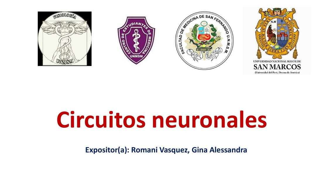 Circuitos Neuronales