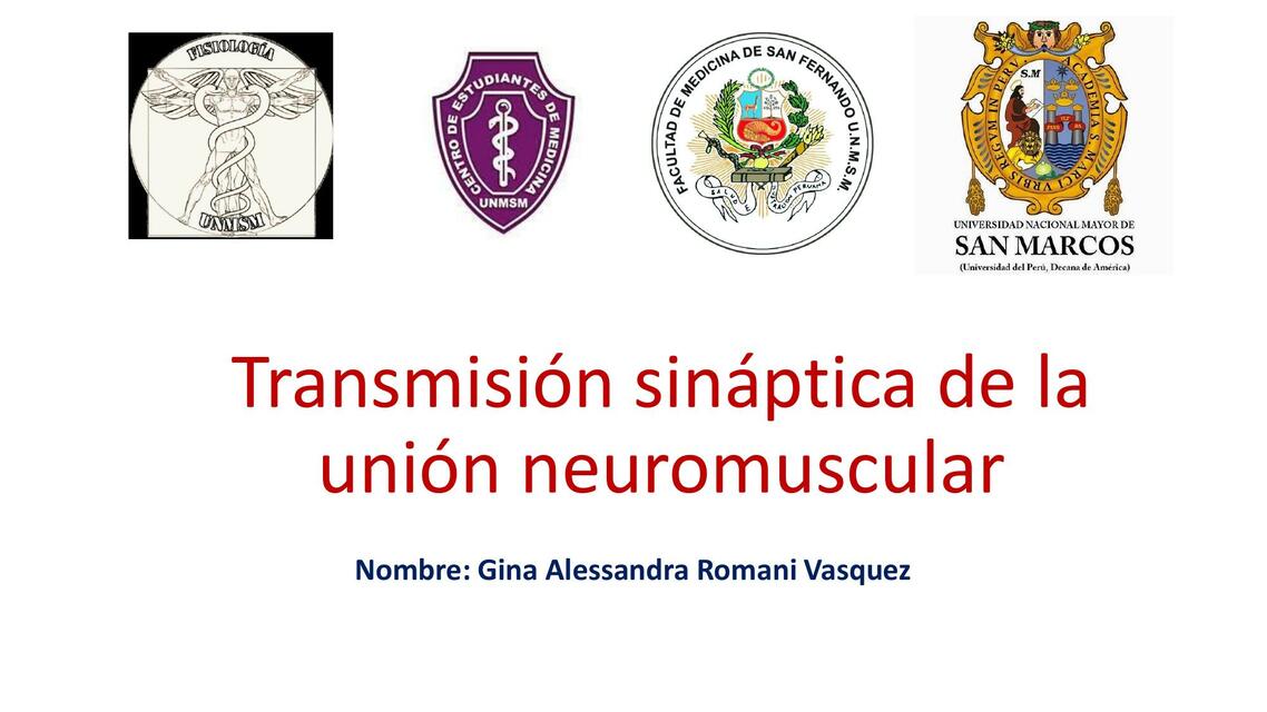 Transmisión Sináptica de la Unión Neuromuscular