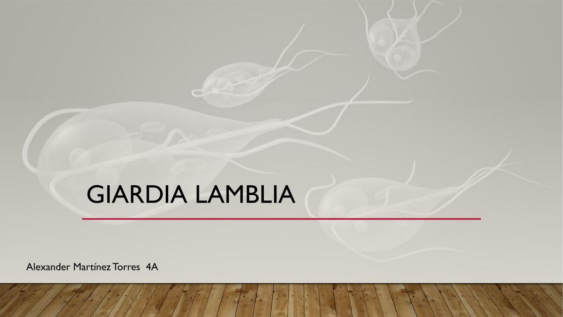 Giardia Lamblia