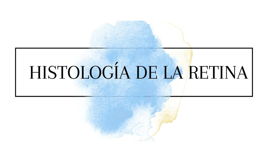 Histología de la Retina 