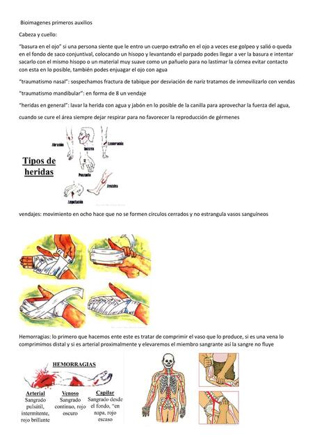 Bioimágenes Primeros Auxilios 