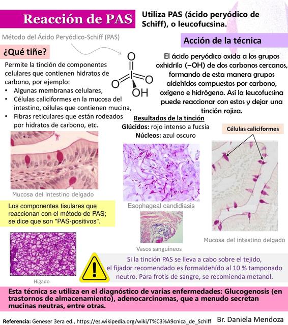 Tecnica de Reacción de PAS