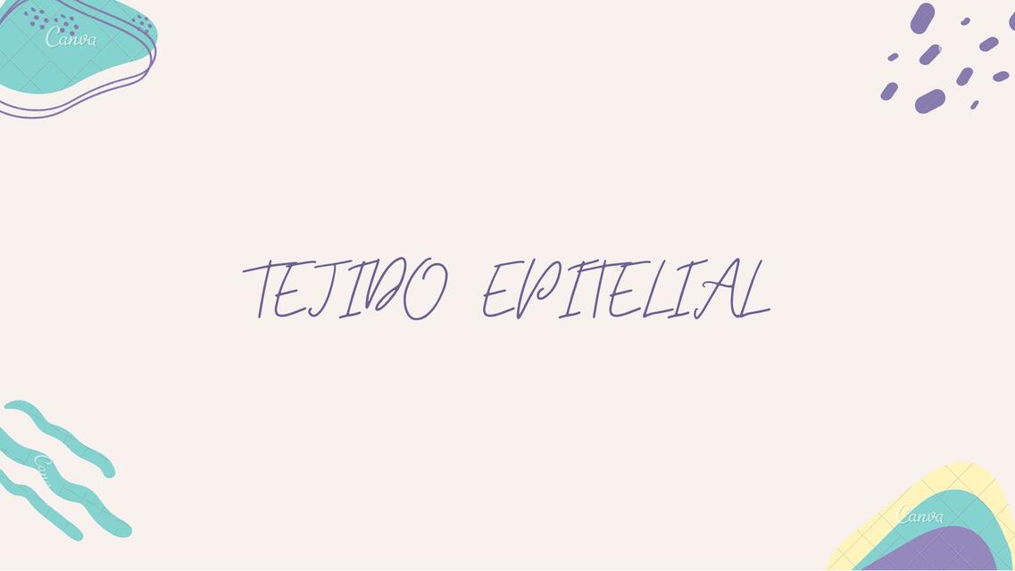 Tejido Epitelial 