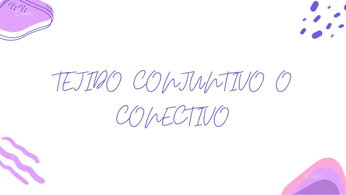 Tejido conjuntivo o conectivo 