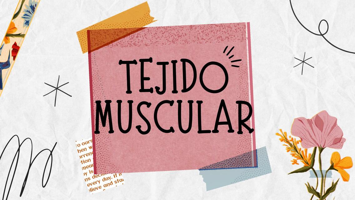 Tejido Muscular 