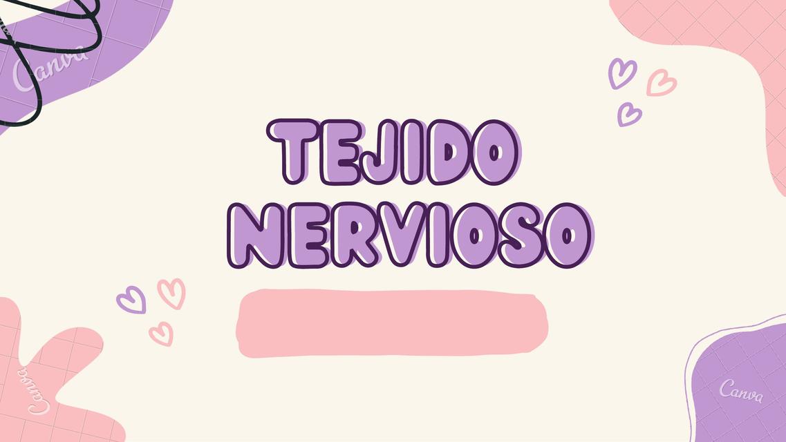 Tejido Nervioso  