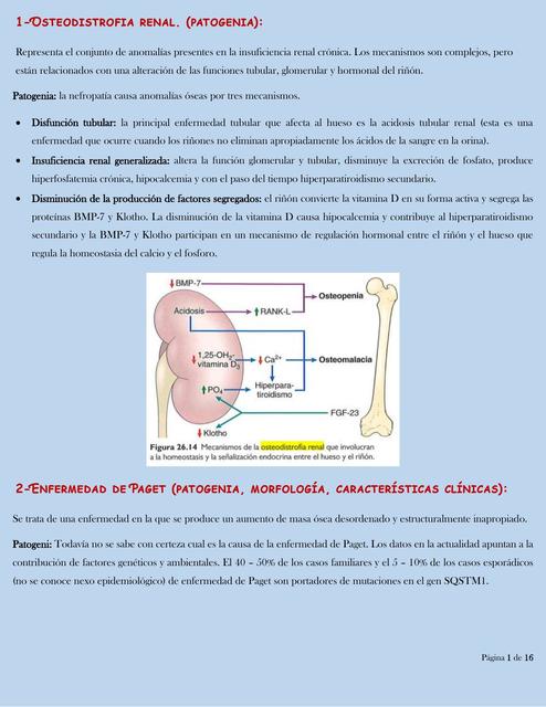 Enfermedades de los huesos (Cáncer, fracturas y mas) 