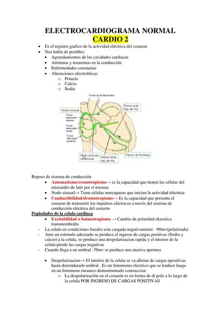 ECG Electrocardiograma normal