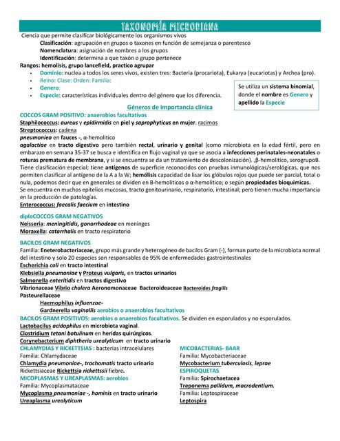 taxonom-a-microbiana-martina-herrera-udocz