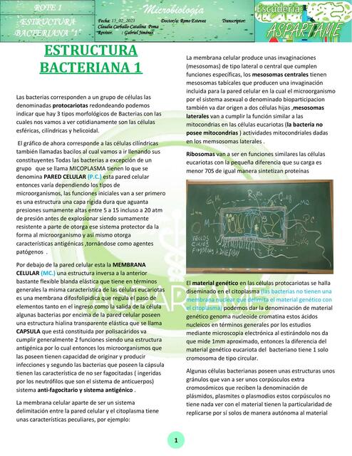 Estructura bacteriana 1