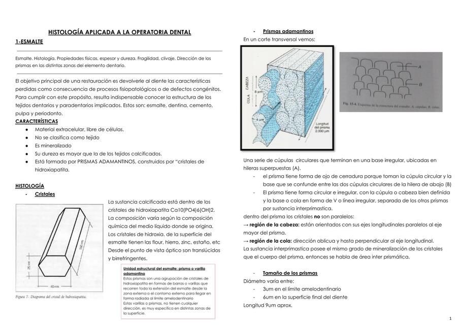 Histología Aplicada a la Operatoria Dental 