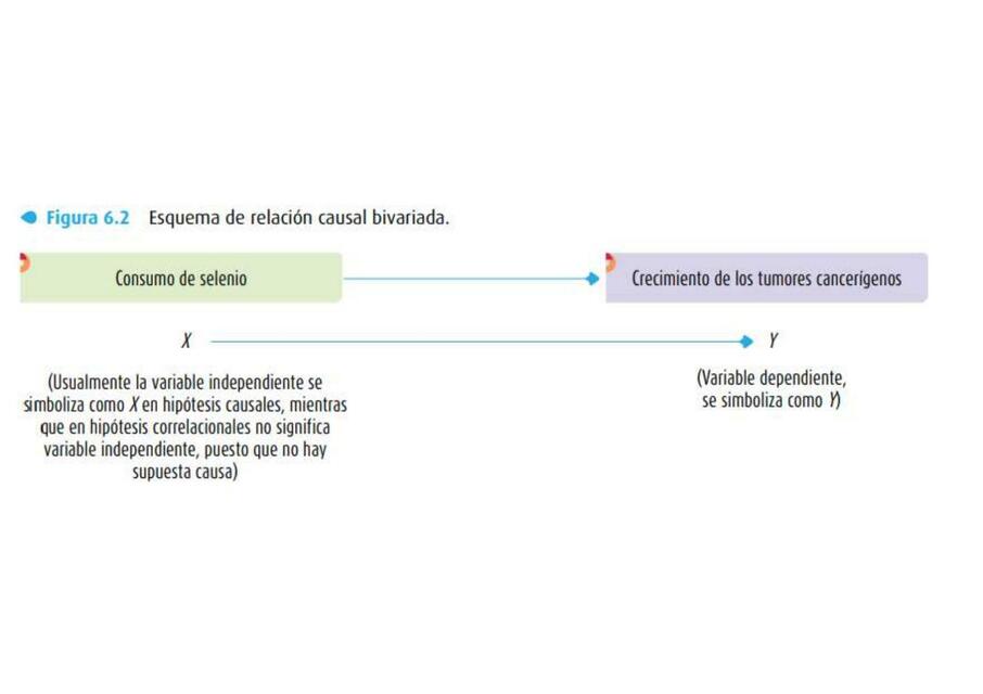 Esquema de relación causal bivariada 