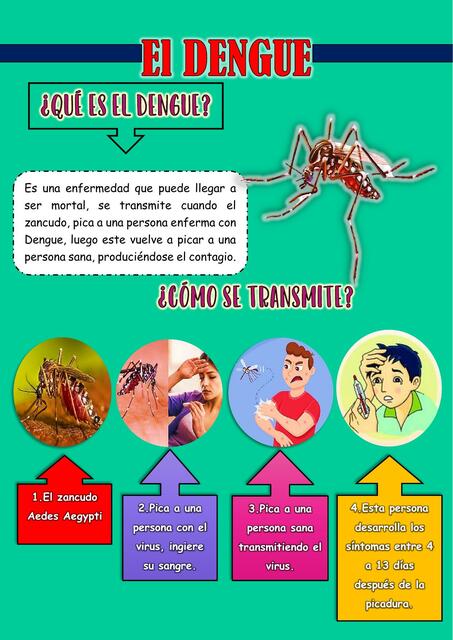 Rotafolio  Del  Dengue 