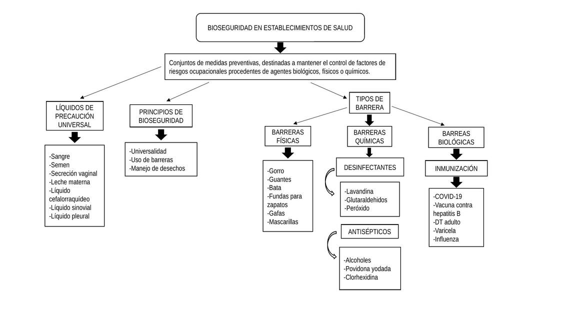 Bioseguridad  en Establecimientos de Salud 