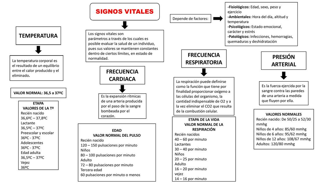 Signos  Vitales 