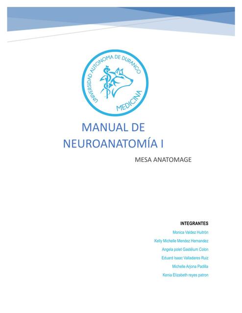 Manual de neuroanatomía