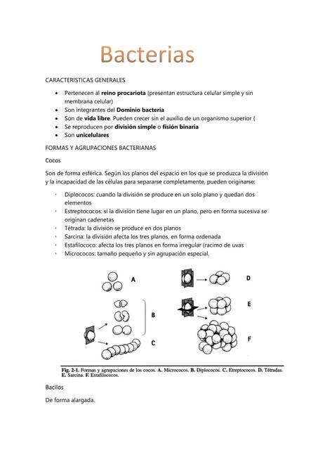 Bacterias 