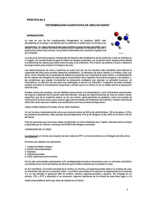 Determinación cuantitativa de urea en suero