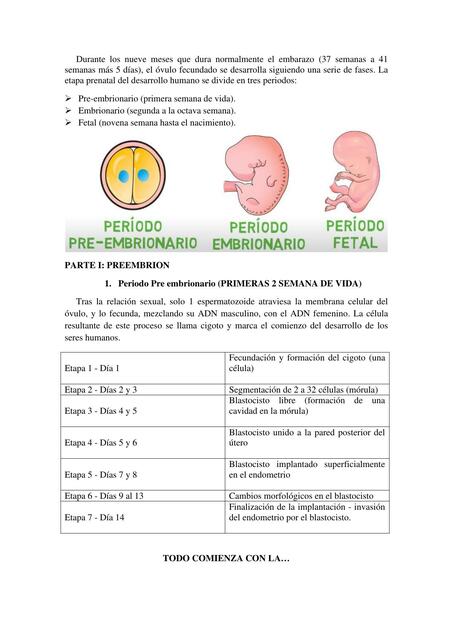 Guía de embriología