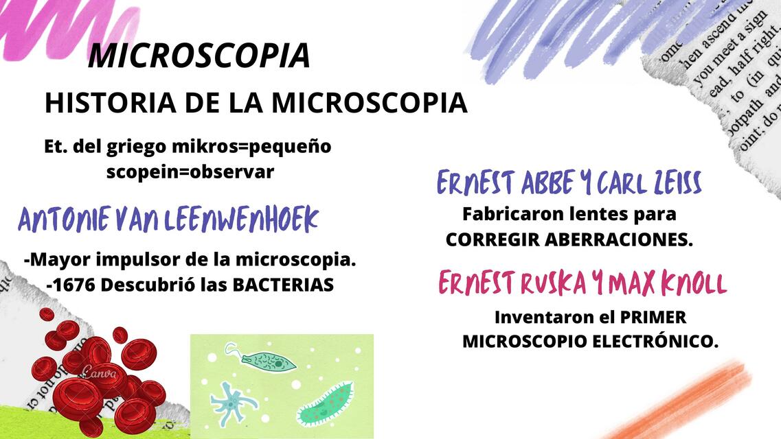 Microscopía