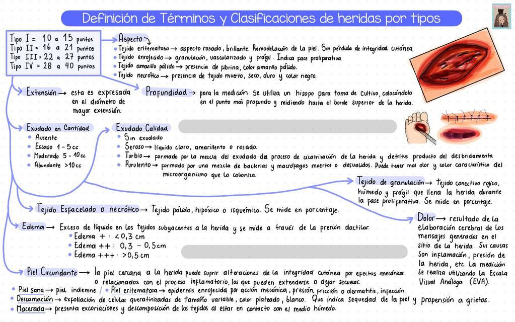 Tipos De Heridas Apuntes De Enfermeria Udocz – NBKomputer