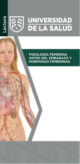 Fisiología femenina antes del embarazo y hormonas 