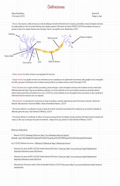 Neurona y Conceptos Básicos 