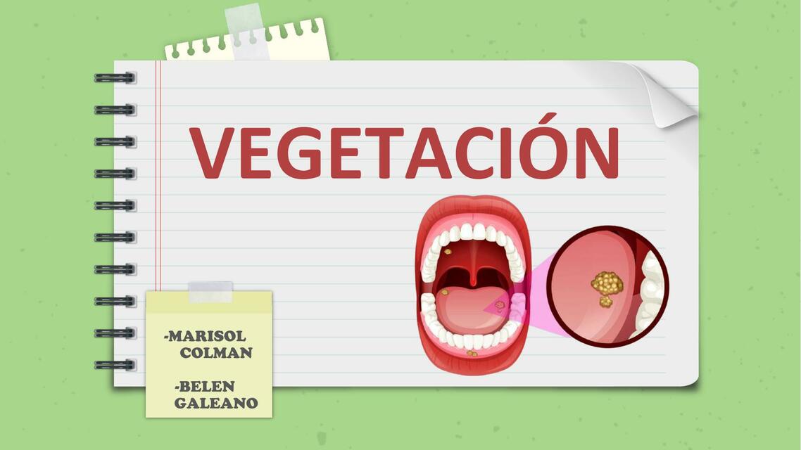 Vegetación 