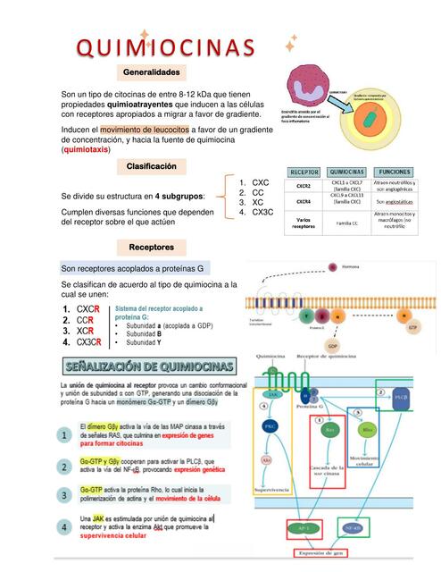 Apunte inmunologia